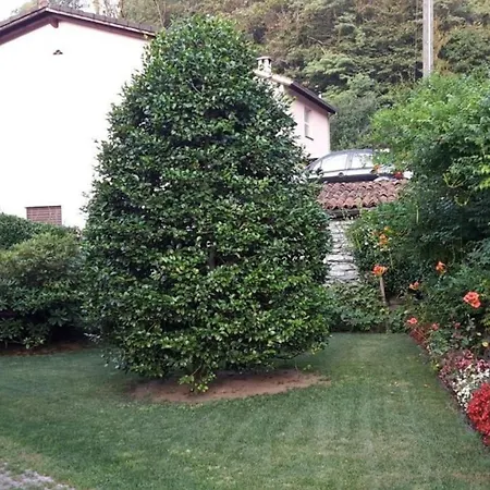 Apartment Al Colombajo Intragna